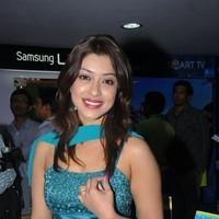 Payal Gosh Hot Gallery | Picture 93159